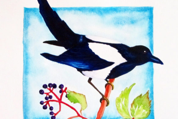 "Magpie of Dixon" ceramic tile